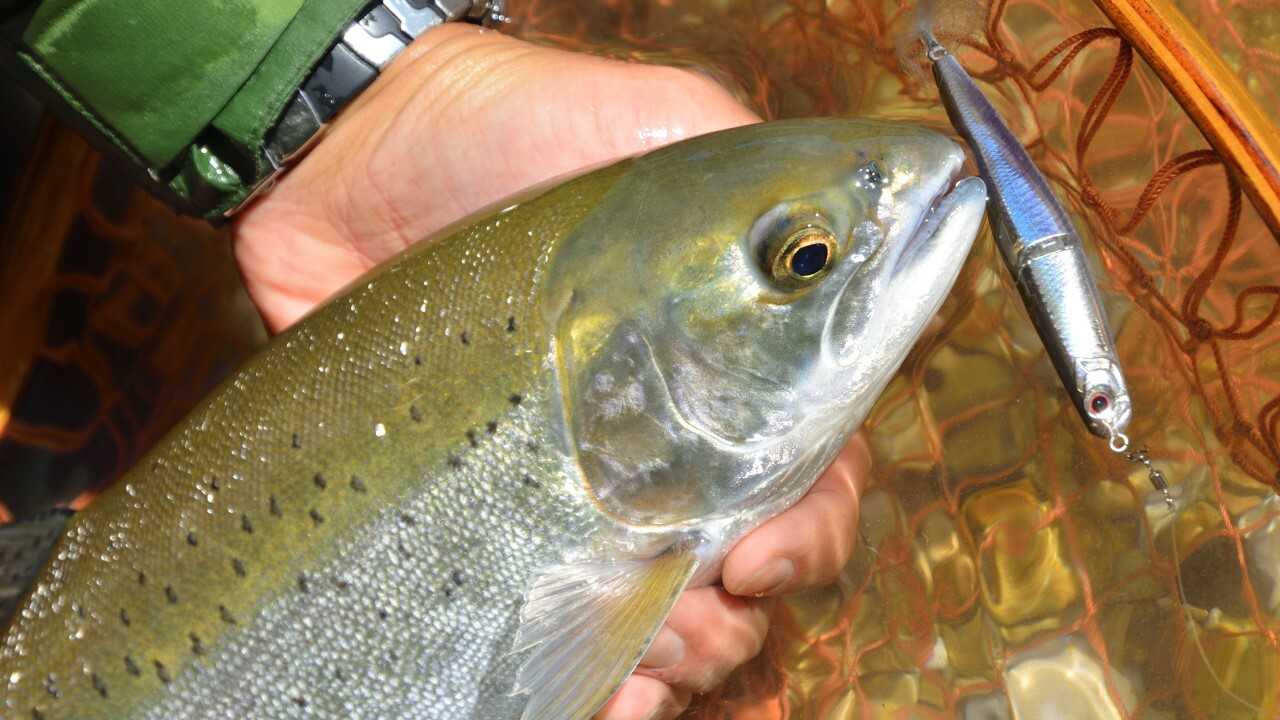 Basser バサー 2018 年 5 月 317 バスフィッシング バス釣り Basser（バサー） 2018年11月号 (発売日2018年09月26日) | 雑誌